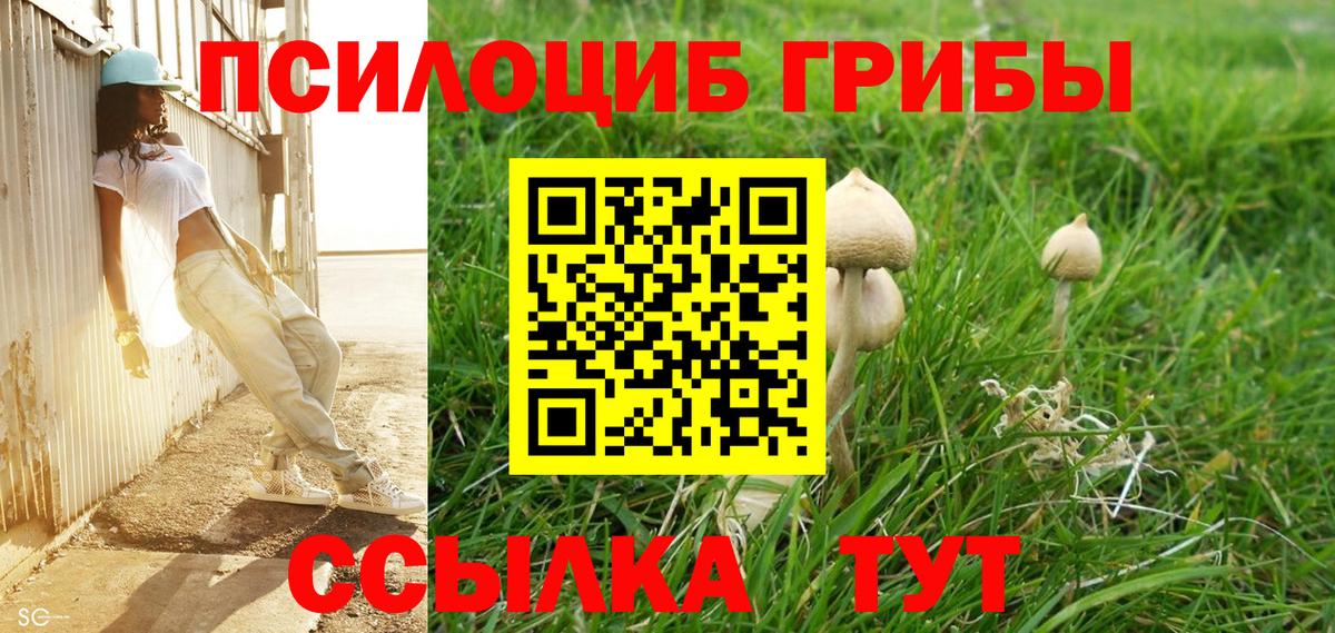 Псилоцибиновые грибы мухоморы  Псилоцибиновые грибы GOLDEN TEACHER  Рубцовск  Вход с VPN 