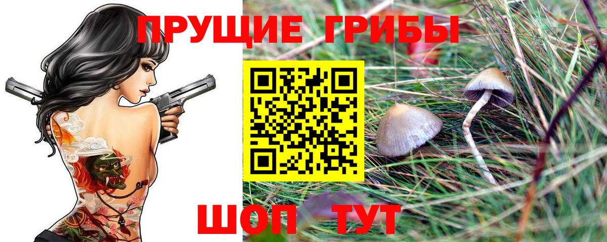 Псилоцибиновые грибы Cubensis Рубцовск